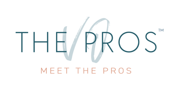 The VO Pros Meet The Pros That Know Banner Logo